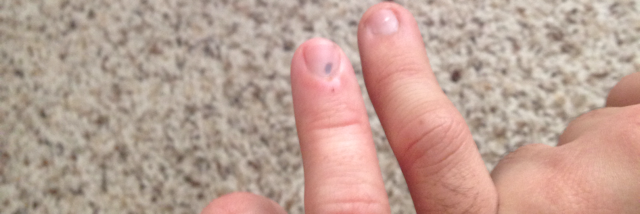 Cover image for post Stained glass, by Cubiccoyote