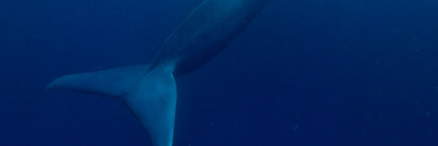 Cover image for post 00:01:00, by JeffStewart