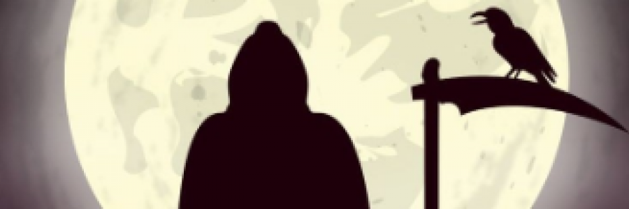 Cover image for post Who Is..., by Tracy