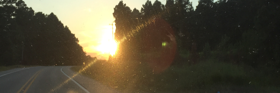 Cover image for post Untitled, by Write2Sanity