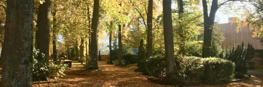 Cover image for post THE HUNTER’S MOON, by Magleo