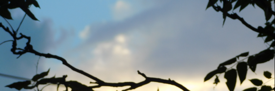 Cover image for post The Cure, by LexiCon