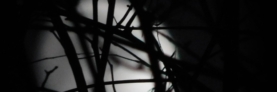 Cover image for post Heart Haunting, by LexiCon