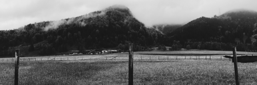 Cover image for post To The Mowers Son, by allenamae