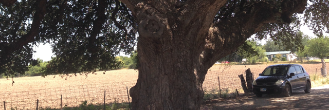 Cover image for post He is, by BethKnowsBetter