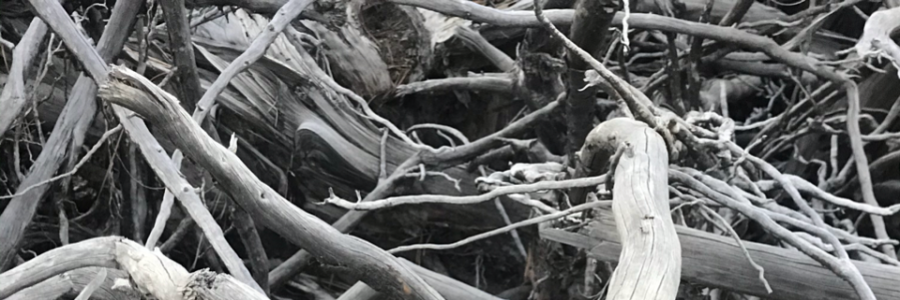 Cover image for post Battles, by HunterManecke