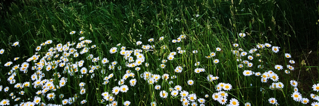 Cover image for post Cry Cry Baby, by Kornigyrl