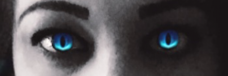 Cover image for post Lost, by MsD