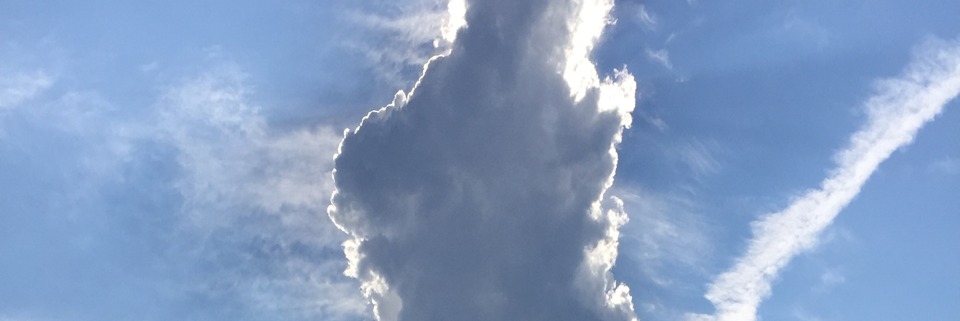 Cover image for post Wings, by Write2Sanity