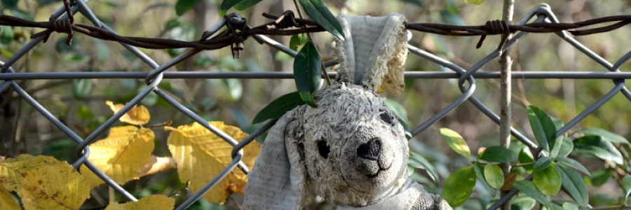 Cover image for post Velveteen Love, by PoeticMC