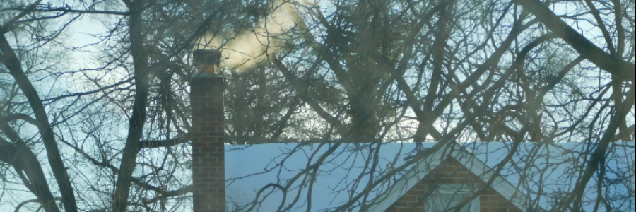 Cover image for post The Trouble with Snow, by LexiCon