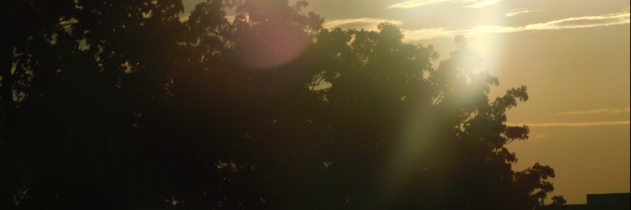 Cover image for post Sunlight Shining on the Back of My Head., by LexiCon