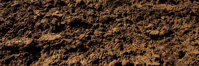 Cover image for post Dirt, by Static