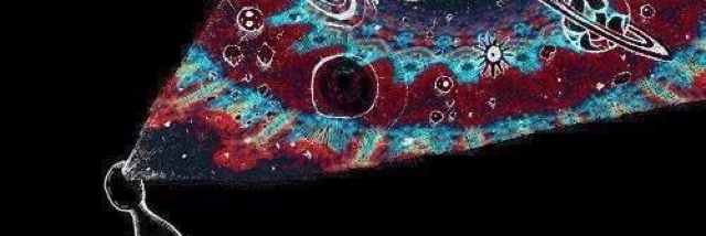 Cover image for post Churning, by Slitherofpussy