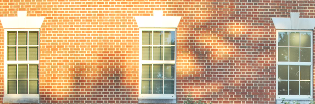 Cover image for post The Hidden Room, by Caulerpa