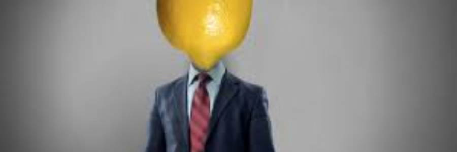 Cover image for post Slices, by sandflea68