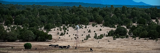 Cover image for post Clementine, by minneapolis