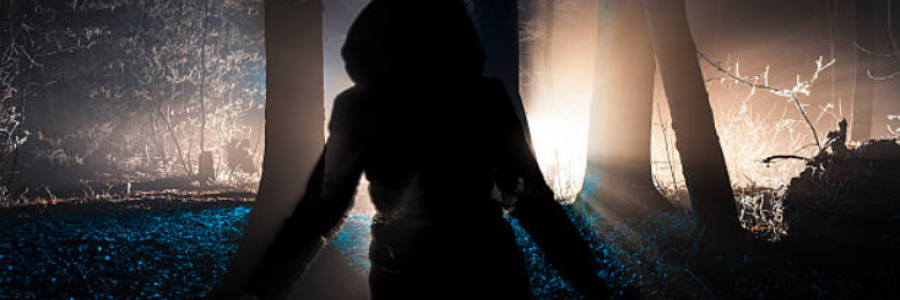 Cover image for post Winter Walk, by GaryEnglish