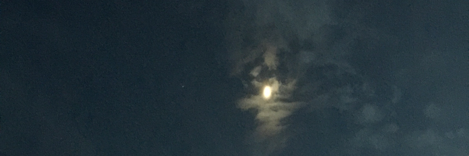 Cover image for post Where I belong, by Write2Sanity