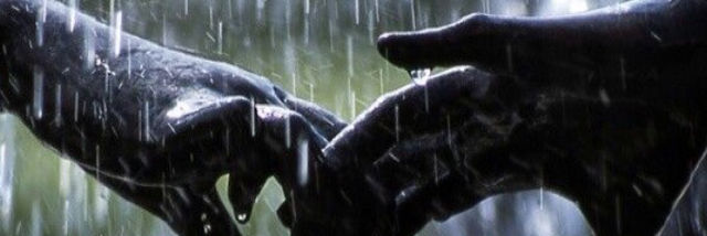 Cover image for post Old Friends, by mpreilly17