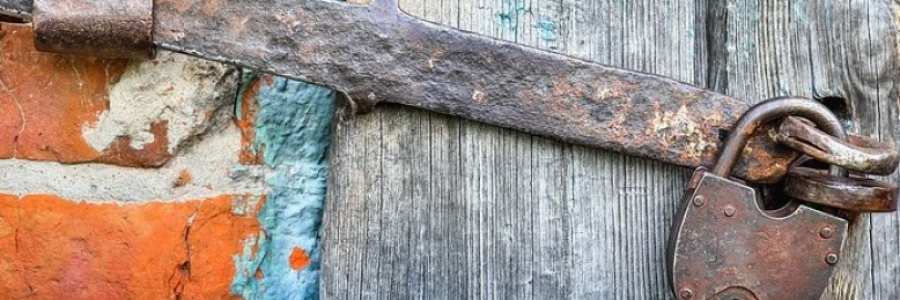 Cover image for post He looked painfully skeptical and said,, by CoconutTurtles