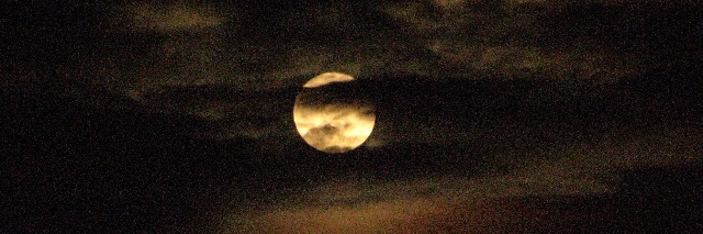 Cover image for post Moonlight, by LeaLu