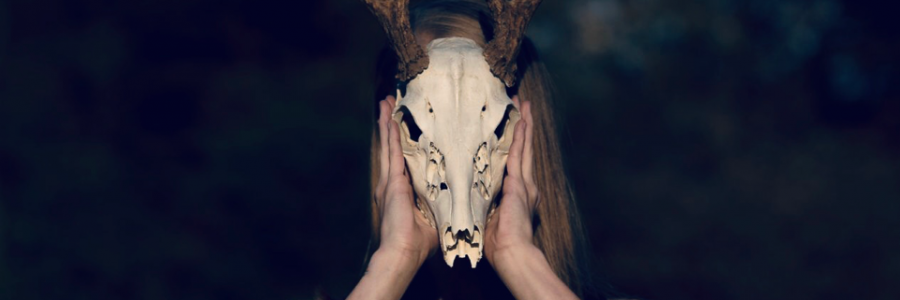 Cover image for post Who is that?, by SleepyEyedSiren