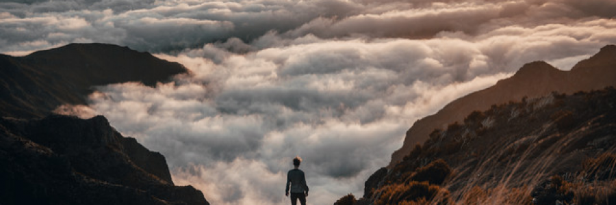 Cover image for post Wanderer, by NikitaSE