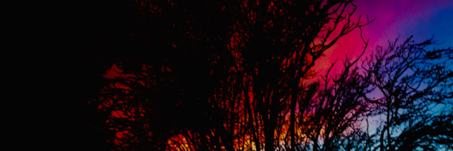 Cover image for post Love, by Leahrose