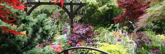 Cover image for post My Manorial Garden, by Alpha