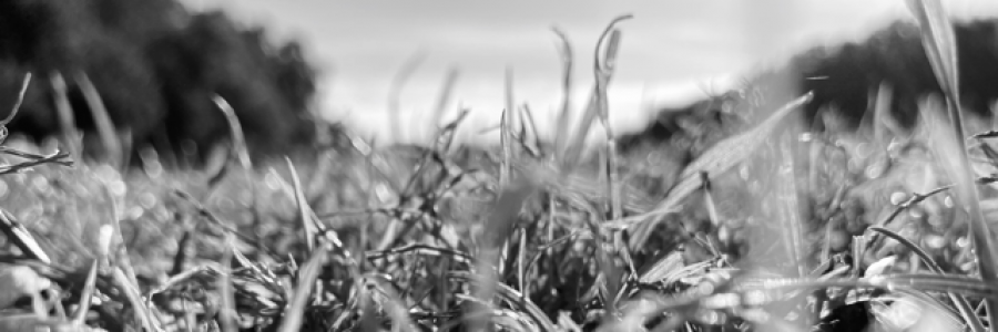 Cover image for post Balance, by GaybeTheEnnboy