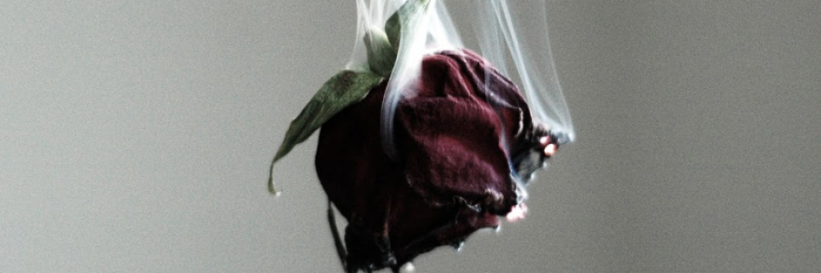 Cover image for post Components Of Attitude, by sweetsilence