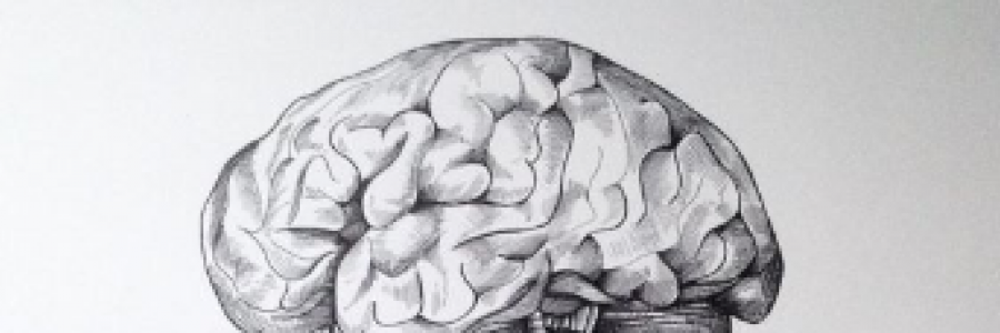 Cover image for post I Wish I Knew, by TeaRise