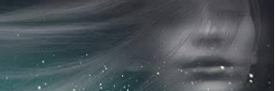 Cover image for post Transience, by Ritika