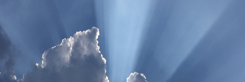 Cover image for post Where do I begin??, by Write2Sanity