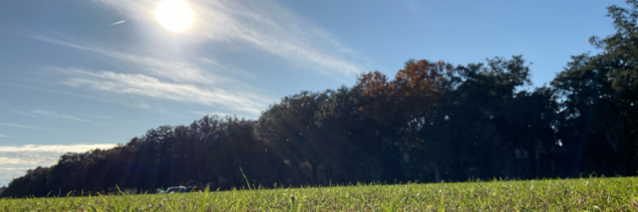 Cover image for post Crush, by GaybeTheEnnboy