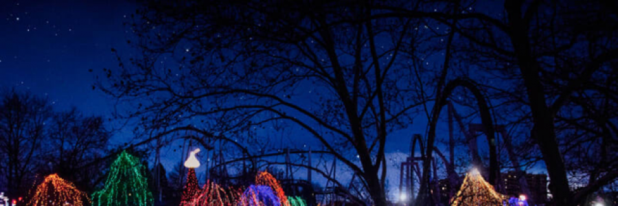 Cover image for post The last Christmas in Joeys home, by Flash02