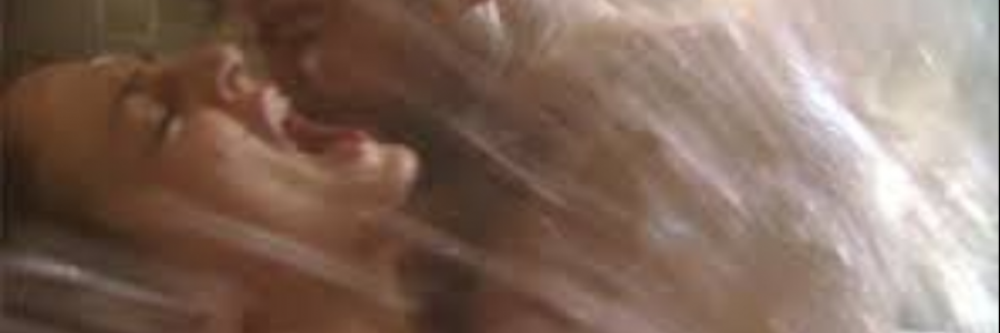 Cover image for post Animal Passion, by sandflea68