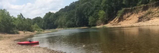 Cover image for post Untitled, by Rev_Frenchie