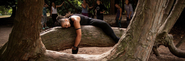 Cover image for post Reality., by monkeemoves