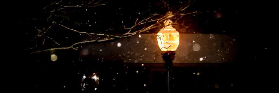 Cover image for post 12.25.19, by MClarice