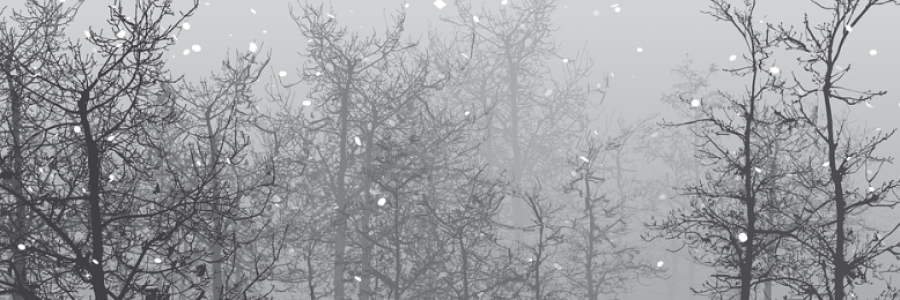 Cover image for post The Unknown White, by HBadt