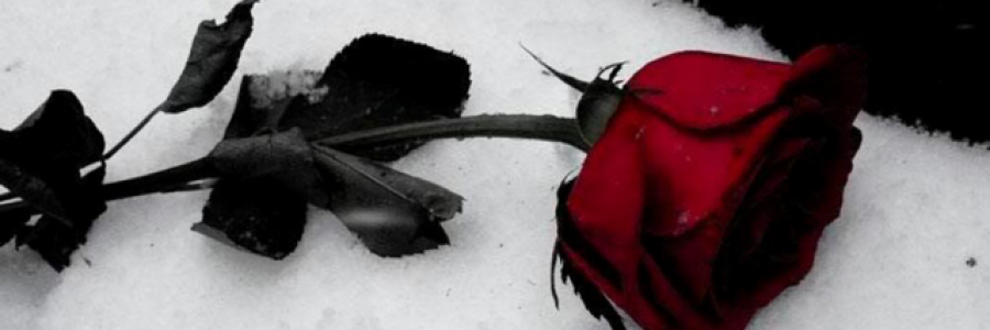 Cover image for post Letter, by NikitaSE