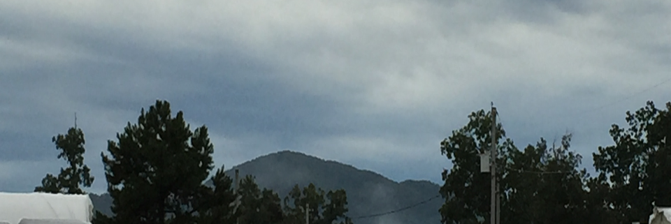 Cover image for post Untitled, by Write2Sanity