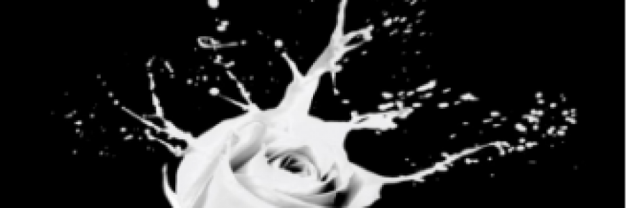 Cover image for post ROSES, by FiaA