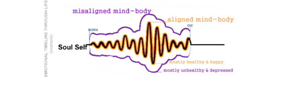 Cover image for post Thank you for your contributions, 2019! Aloha, 2020, by another_proser