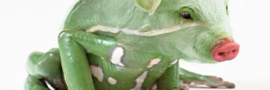 Cover image for post Frigs, by Lovehurts