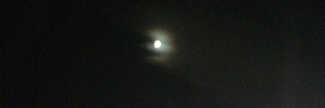 Cover image for post Untitled Part I, by Grier_Ragot