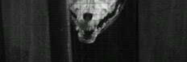 Cover image for post Our Shared Demons, by morephilosophy