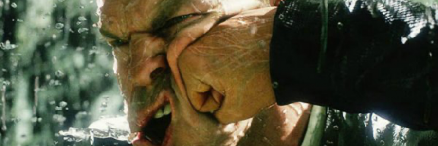 Cover image for post Straight To The Face! ©️, by GrandSchemes